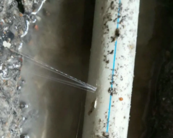 增城卫生间测漏水多少钱